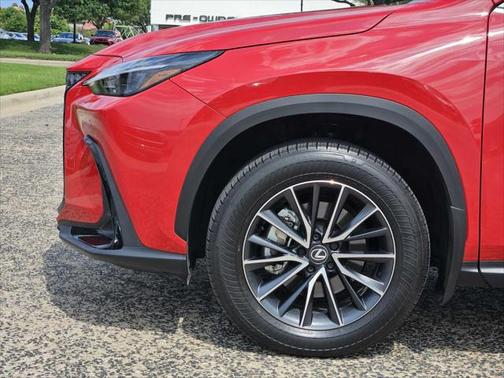 2025 Lexus NX 250 Base