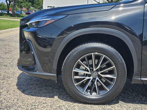 2024 Lexus NX 250 Premium