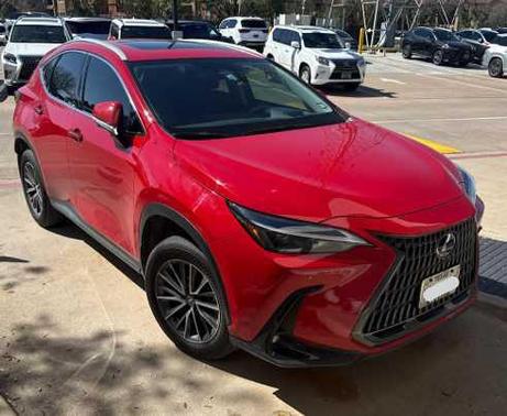 2025 Lexus NX 350 Premium