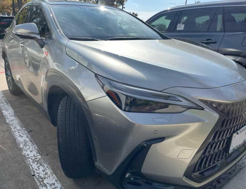 2024 Lexus NX 350h Luxury