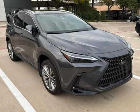 2023 Lexus NX 350 Luxury