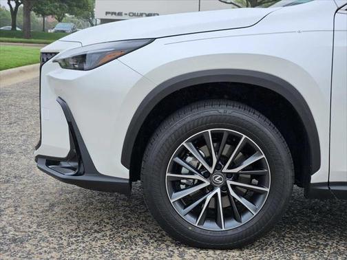 2024 Lexus NX 250 Premium