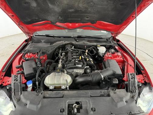 RACE RED 2022 Ford Mustang I4CP