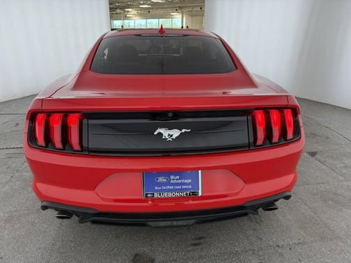 RACE RED 2022 Ford Mustang I4CP