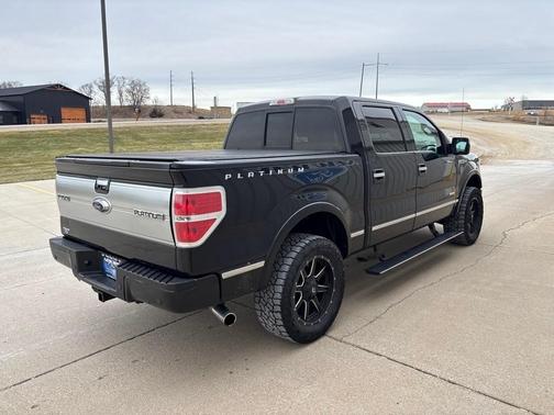 2013 Ford F-150 Platinum