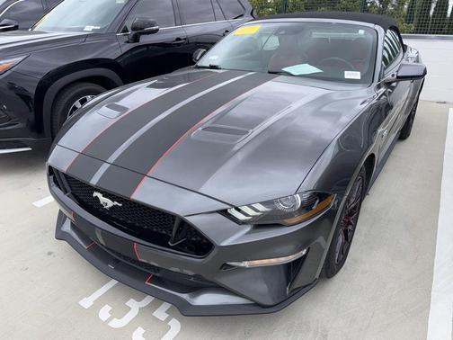 Magnetic 2019 Ford Mustang GT Premium