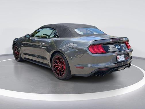 Magnetic 2019 Ford Mustang GT Premium