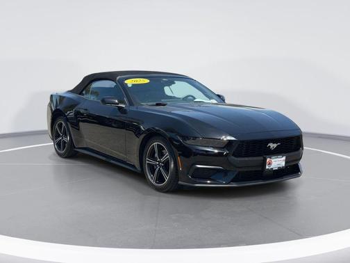 Shadow Black 2025 Ford Mustang EcoBoost