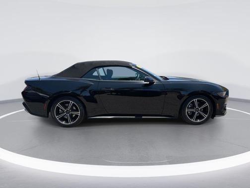 Shadow Black 2025 Ford Mustang EcoBoost