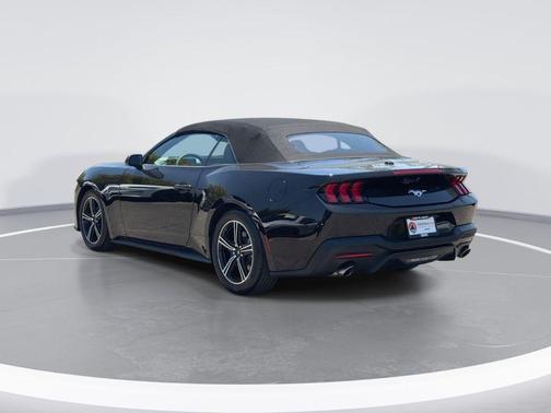 Shadow Black 2025 Ford Mustang EcoBoost