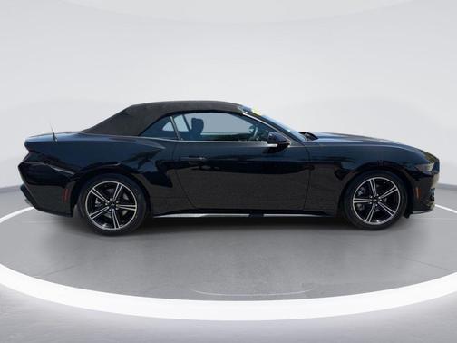Shadow Black 2025 Ford Mustang EcoBoost