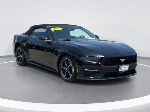 Shadow Black 2025 Ford Mustang EcoBoost