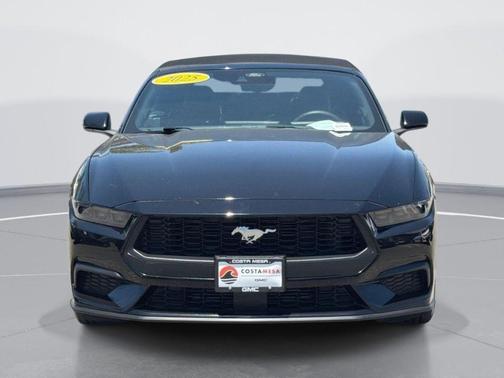 Shadow Black 2025 Ford Mustang EcoBoost
