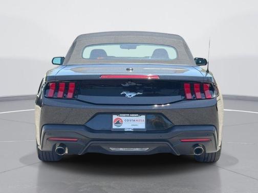 Shadow Black 2025 Ford Mustang EcoBoost