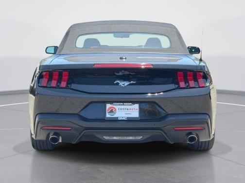Shadow Black 2025 Ford Mustang EcoBoost