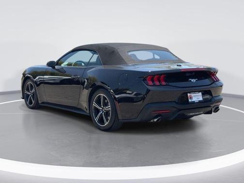 Shadow Black 2025 Ford Mustang EcoBoost