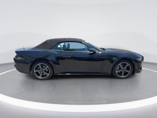 Shadow Black 2025 Ford Mustang EcoBoost
