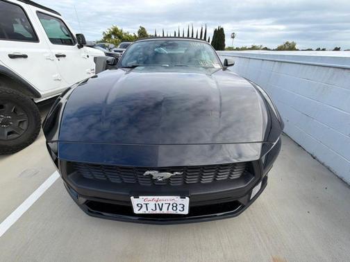 Shadow Black 2025 Ford Mustang EcoBoost