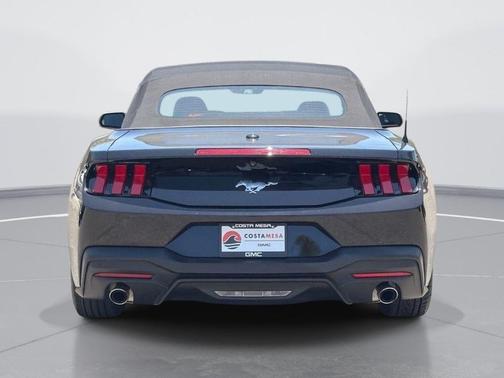 Shadow Black 2025 Ford Mustang EcoBoost