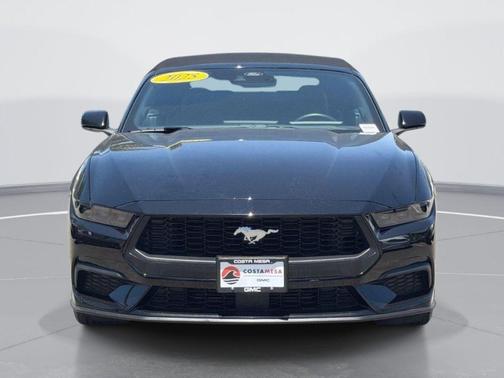 Shadow Black 2025 Ford Mustang EcoBoost