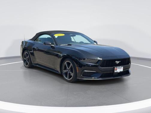Shadow Black 2025 Ford Mustang EcoBoost