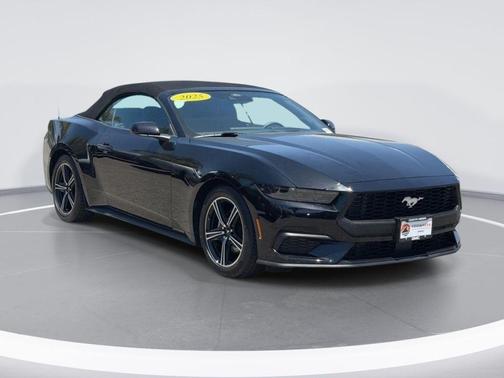 Shadow Black 2025 Ford Mustang EcoBoost