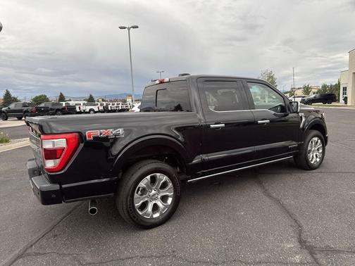 2022 Ford F-150 Platinum