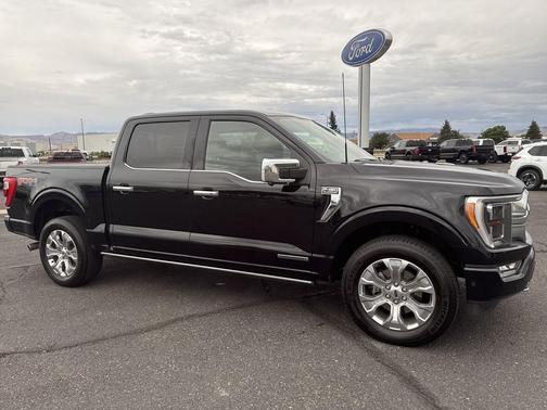 2022 Ford F-150 Platinum