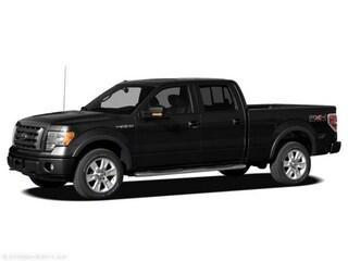 2011 Ford F-150 Platinum