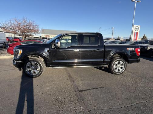2021 Ford F-150 Platinum