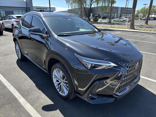 2025 Lexus NX 350h Premium