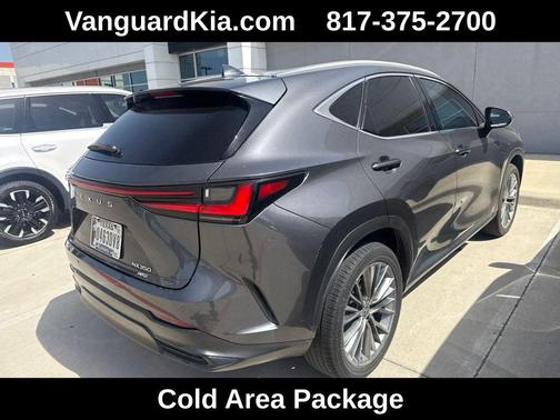 Cloudburst Gray 2022 Lexus NX 350 Luxury
