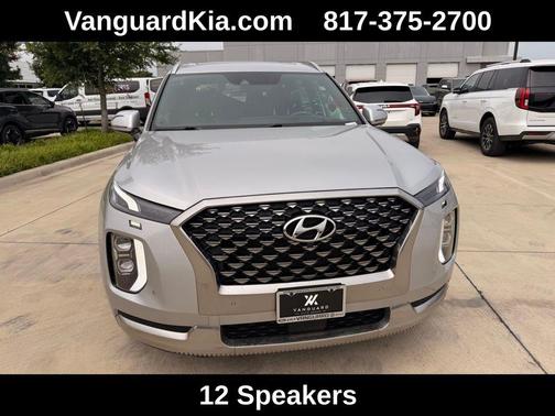 Typhoon Silver 2022 Hyundai PALISADE Calligraphy