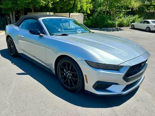 Iconic Silver 2025 Ford Mustang EcoBoost Premium