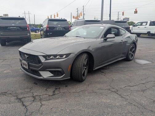 Gray Metallic 2024 Ford Mustang EcoBoost