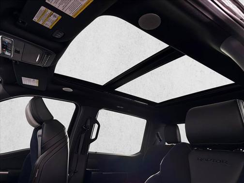 Agate Black Metallic 2023 Ford F-150 Raptor