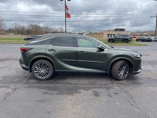 Green Pearl 2024 Lexus RX 350 Luxury
