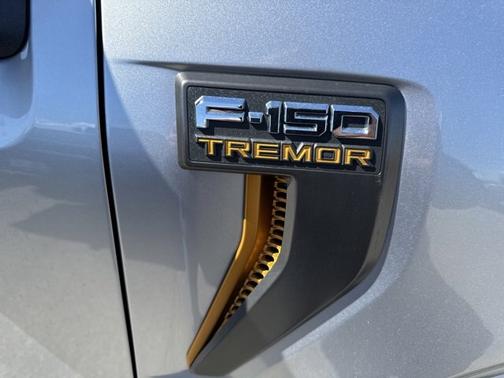 ICONIC SILVER METALLIC 2023 Ford F-150 TREMOR