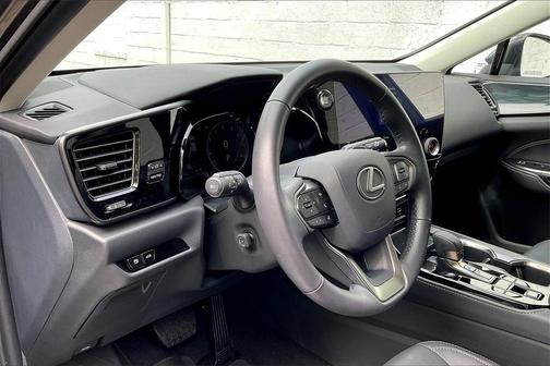 2025 Lexus NX 350 Premium