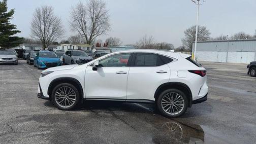 2022 Lexus NX 350 Luxury