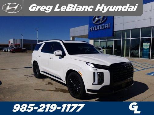 2025 Hyundai PALISADE Calligraphy Night Edition