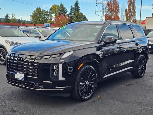 2025 Hyundai PALISADE Calligraphy Night Edition