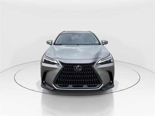 2025 Lexus NX 250 Premium