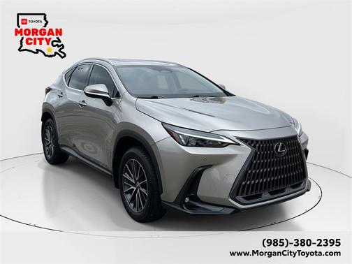 2025 Lexus NX 250 Premium