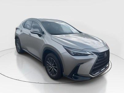 2025 Lexus NX 250 Premium