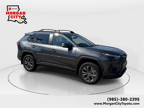 2025 Toyota RAV4 Hybrid XLE Premium