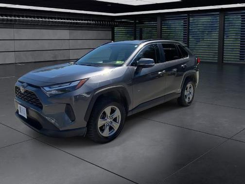 Magnetic Gray Metallic 2024 Toyota RAV4 LE