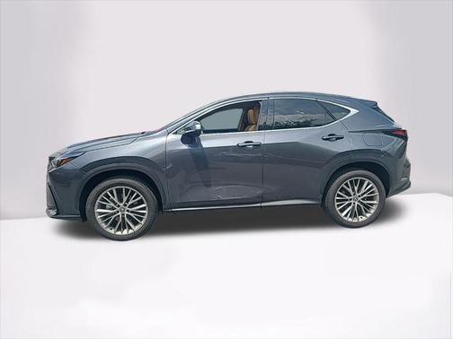 2025 Lexus NX 350h Premium