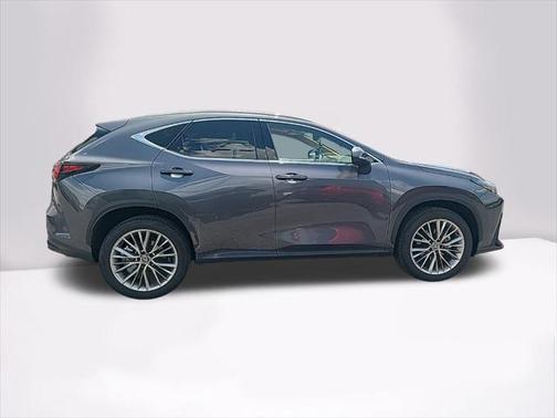 2025 Lexus NX 350h Premium