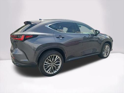 2025 Lexus NX 350h Premium